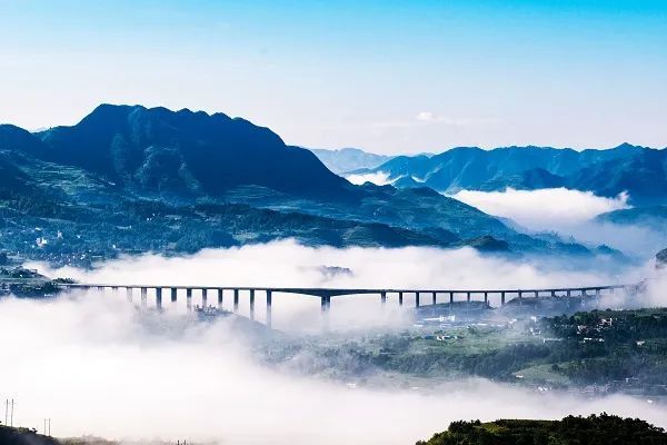 奋斗百年金沙筑梦昭通镇雄开阡陌保就业做好群众幸福生活领路人