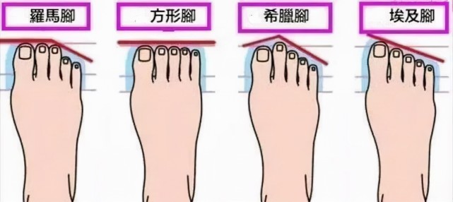 不光是我国传统相学对脚的形状特性有所研究,国内外的心理学专家也对