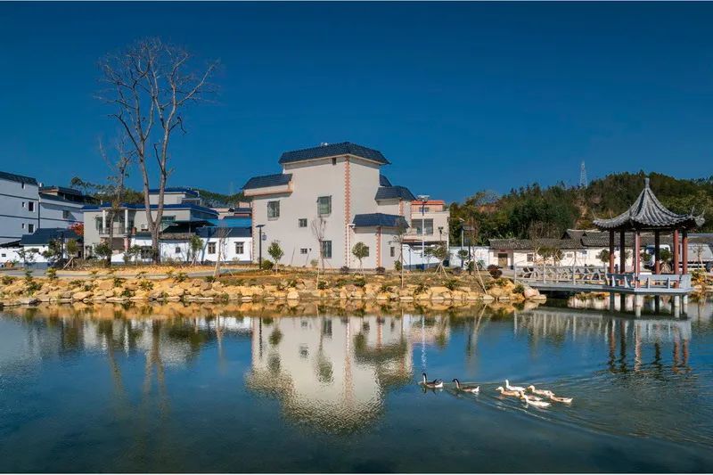 征集兰韵翁源诗画田园全国摄影作品展