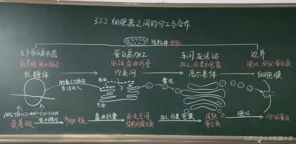 板书能起到很好的示范作用,有利于帮助学生形成知识结构,提高课堂教学
