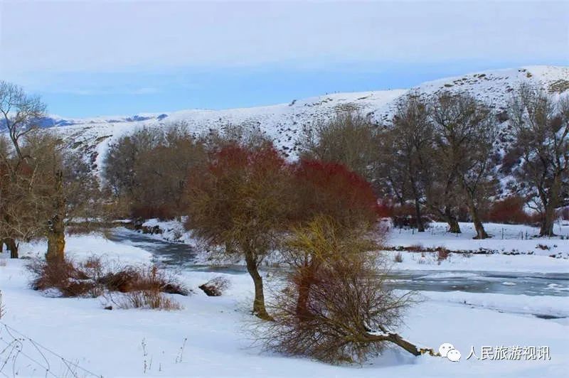 新疆昭苏木扎尔特河冬色美