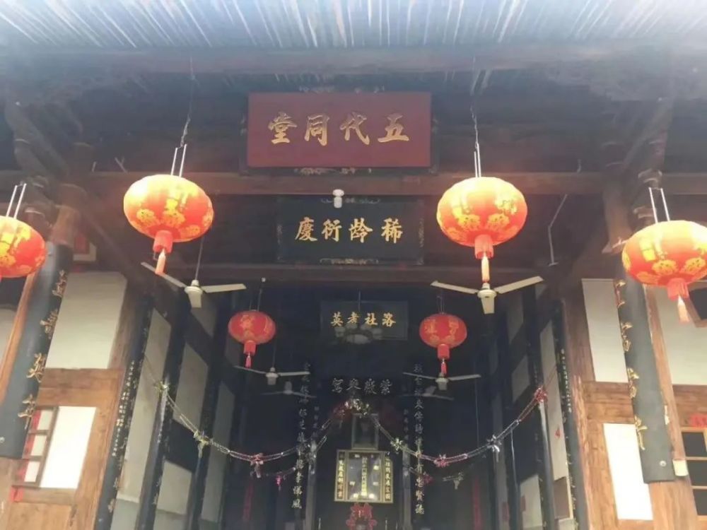 梅好闽清,魅力瓷乡,闽清县白樟镇农文旅助力乡村振兴采摘节,来了!