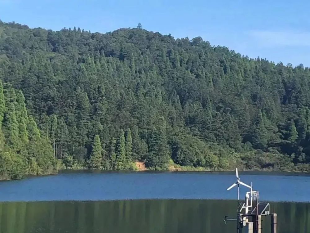 梅好闽清,魅力瓷乡,闽清县白樟镇农文旅助力乡村振兴采摘节,来了!