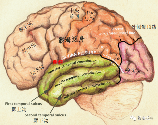 史上最详细的头颅MR解剖（二）_腾讯新闻
