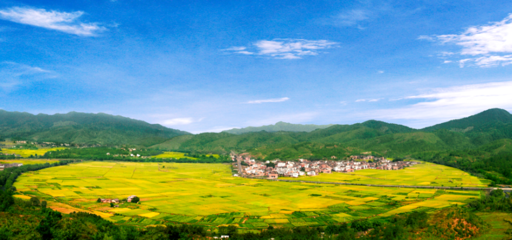 赣县韩坊镇 3宗黄金地块出让!_腾讯新闻