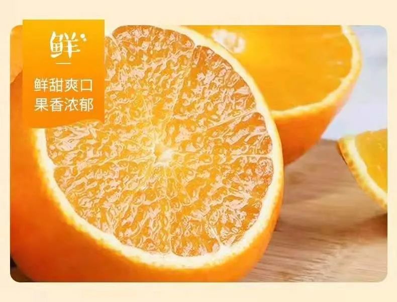 挂在树上的"果粒橙"!四川爱媛38号果冻橙拍两份29.9元发8斤果!