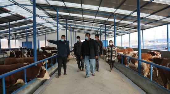 部门和镇政府规划,我们镇在仓村建立了有35间牛舍的的畜牧养殖合作社