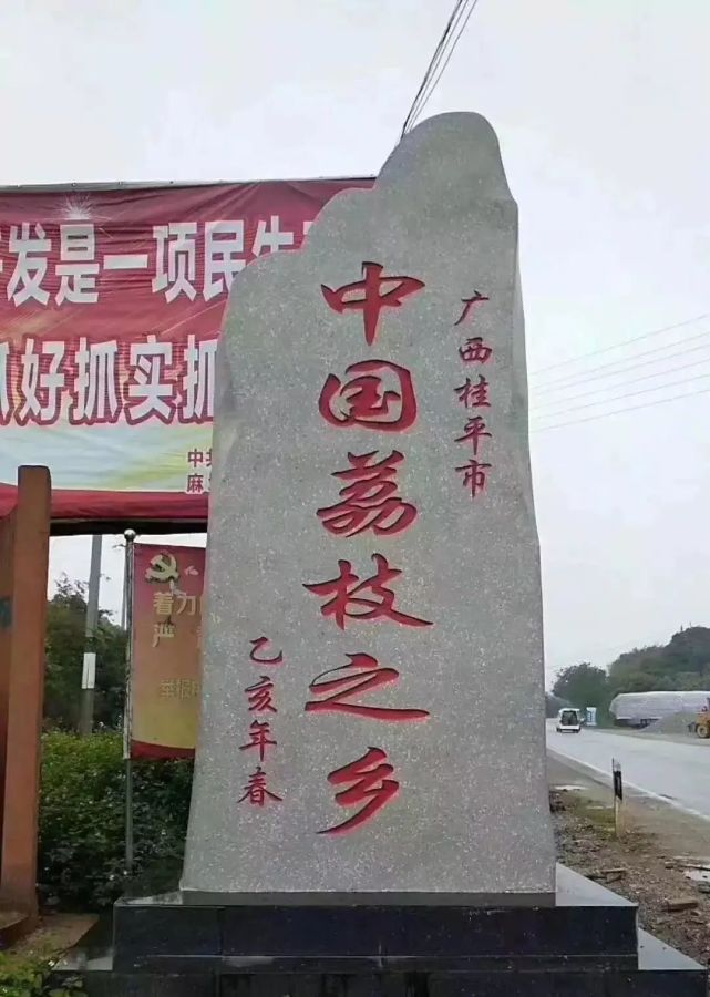 麻垌人民法庭荔枝乡里的人民法庭承担桂平市南区六个乡镇近46万人的民
