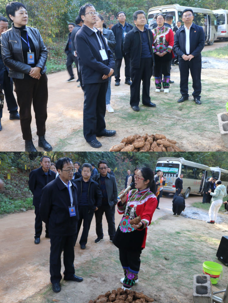 市人大代表禄劝代表小组赴转龙镇开展小组活动!_腾讯新闻