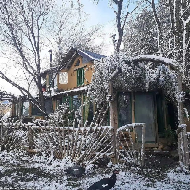 加拿大夫婦用粘土和稻草造房子住進森林種菜養馬牛雞鴨兩個孩子在家