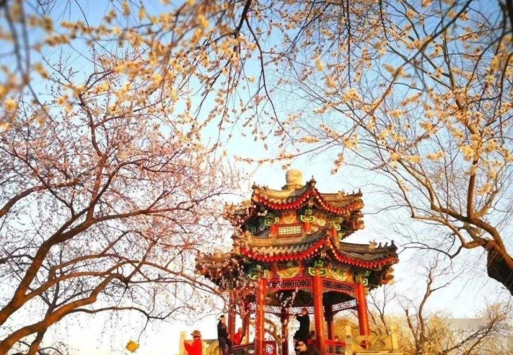 佳音英語的不足菊園1街道4a帥2755mm全新初中可以考會計初級證嗎