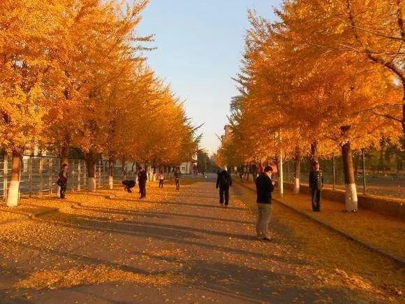 東華大學怎么樣_東華大學別名_東華大學總校