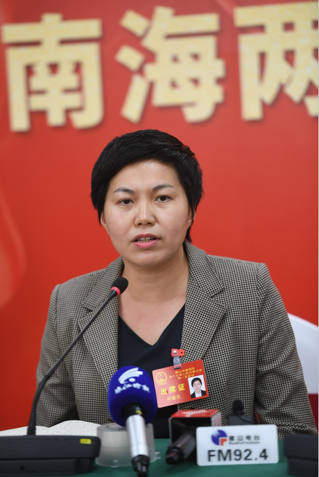 南海两会|丹灶:立足争做大湾区新兴产业集聚发展标杆镇|何敏仪|南海