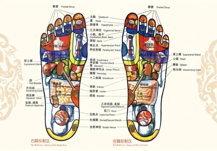 比泡脚还舒服,穿上就会发热,抑菌除臭材质,穿上一天也不臭脚!
