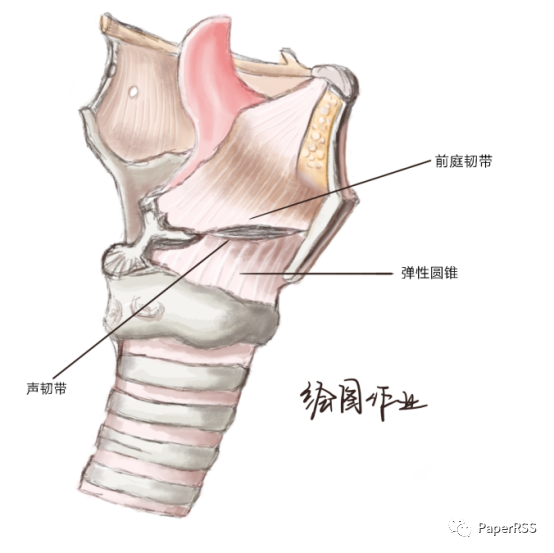 系统解剖学实验报告你以为的医学实验报告——密密麻麻的数字,通篇"