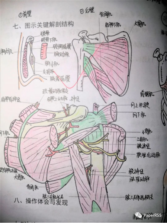 蘭州大學醫學生實驗報告