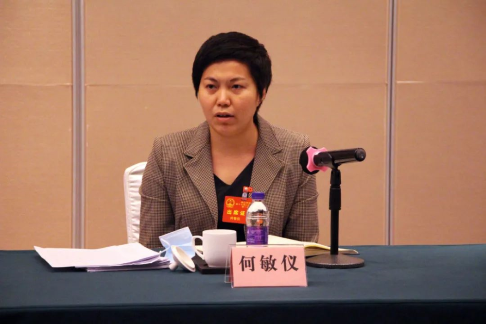 2021南海"两会"进行时,书记区长走团划重点!