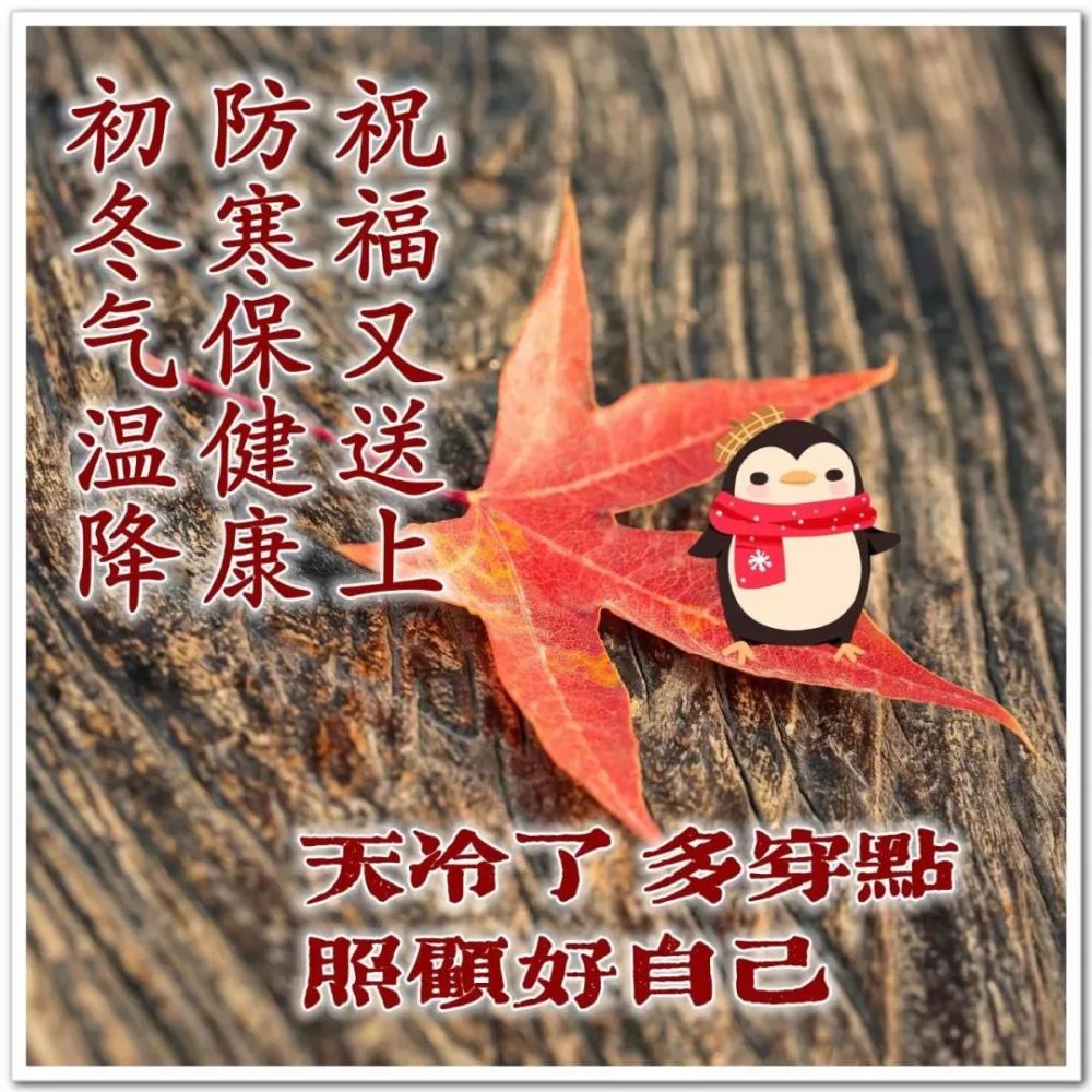 最新清新漂亮冬日早上好祝福图片带字温馨好看的冬日风景早安图片带字