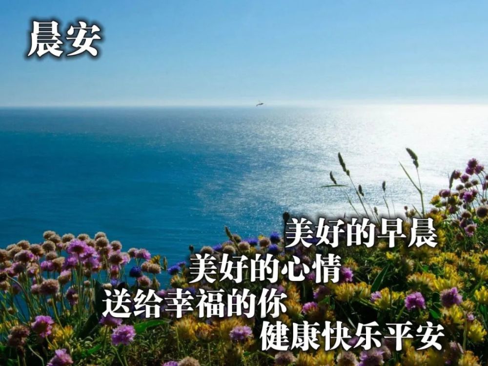 冬季早安心语美丽图片创意唯美冬天早上好问候祝福语
