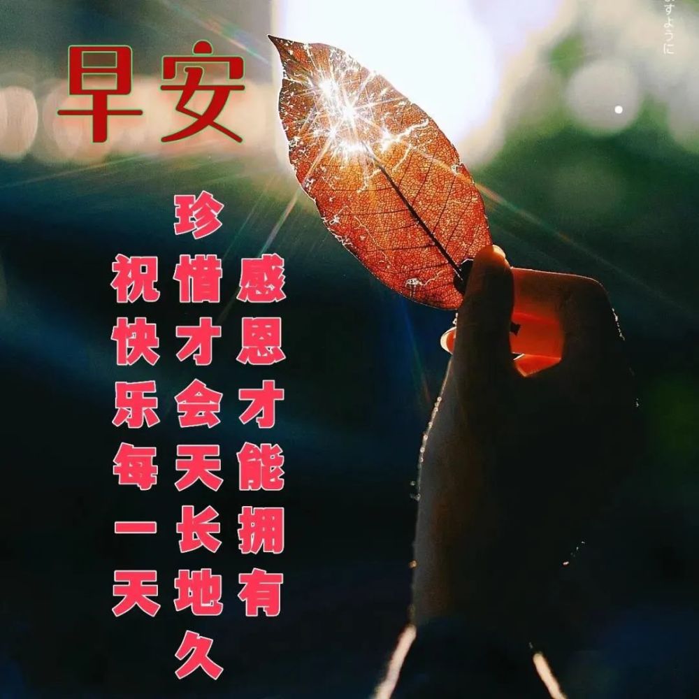 最新早安问候祝福图片带字温馨早安问候祝福语