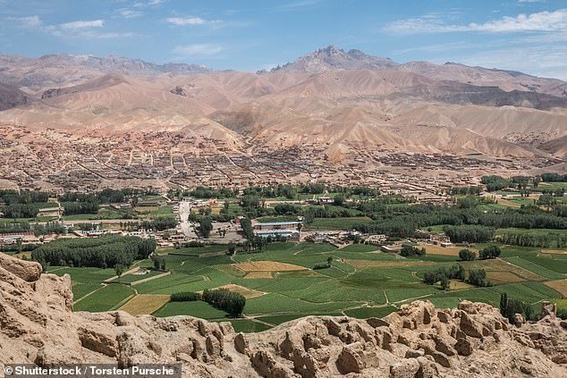 阿富汗7岁女孩被卖掉为家人换取食物父亲痛苦她的未来毁了