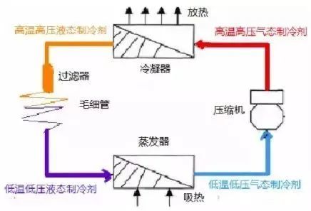 各种压缩机动态原理图