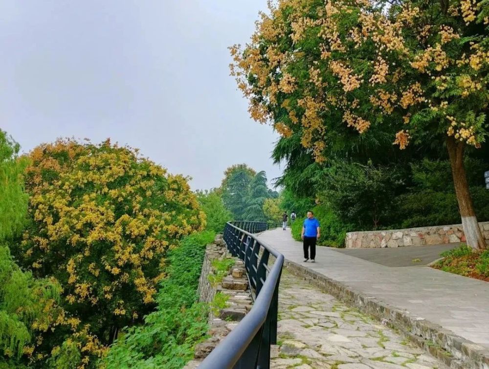 溫度舒適天氣好～走!登高去!