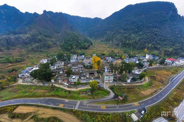 贵州印江凤仪村千年古银杏树扮靓初冬