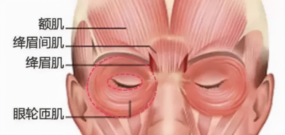 让美女显老的不是轮廓和肌肉走向而是眼下的状态