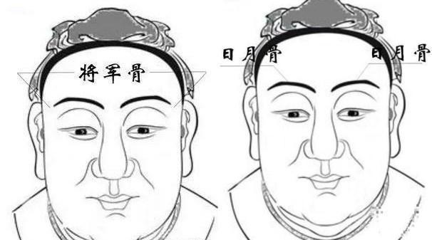 头生九龙骨早晚必显贵九龙骨是啥老祖宗辨人术准吗