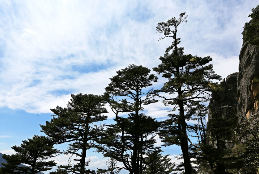 彝族年雲遊涼山特輯在冕寧看遍四季美景更迭