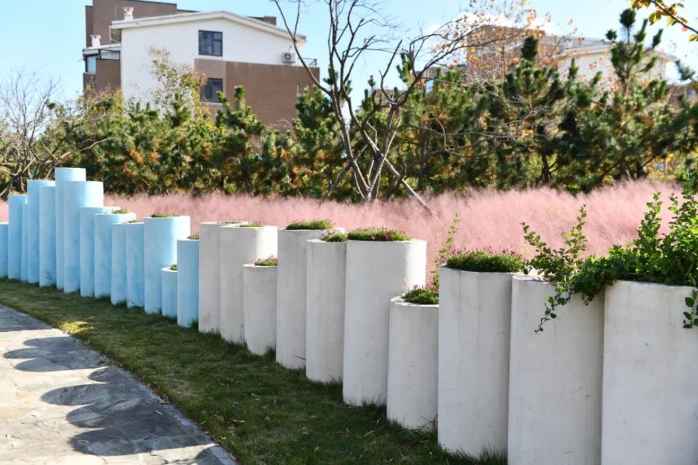 那些点缀在街角的小游园你都打卡了吗