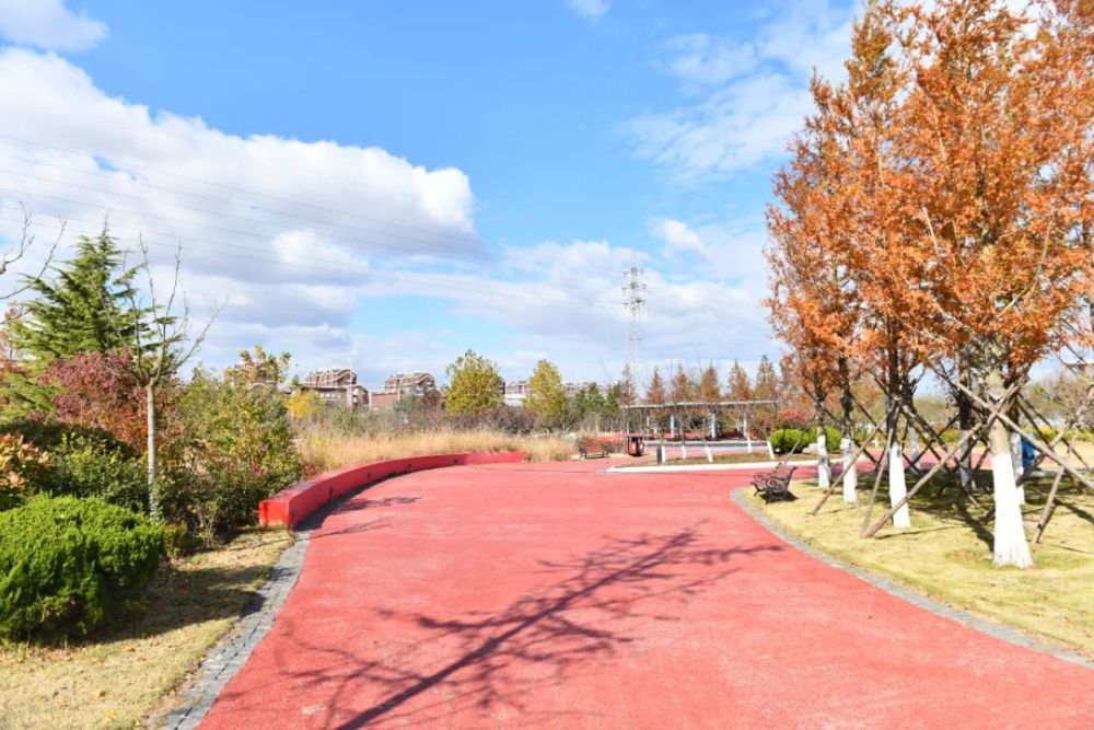 那些点缀在街角的小游园你都打卡了吗