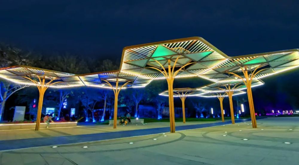 影像博州华灯初上精河夜景美如画