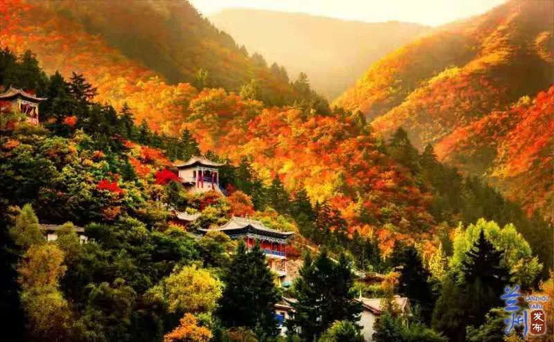 「兰州冬季去哪里玩」✅ 兰州冬季旅游最佳去处
