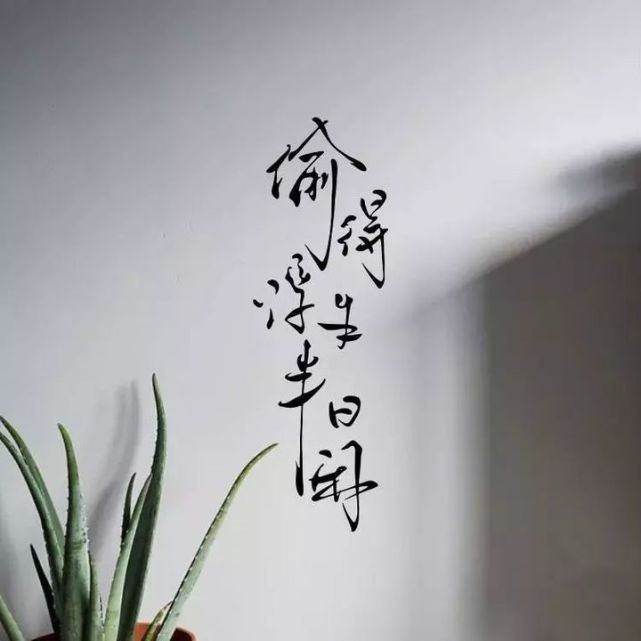 文艺范满满的朋友圈背景图