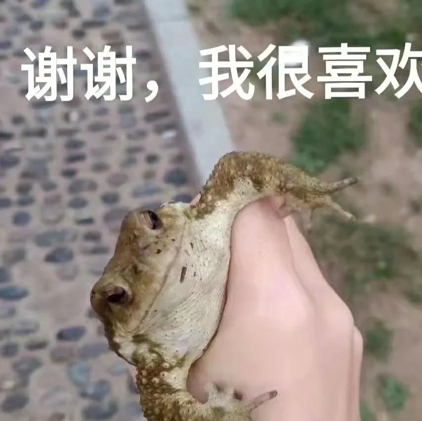 【表情包】分你一个小青蛙_腾讯新闻