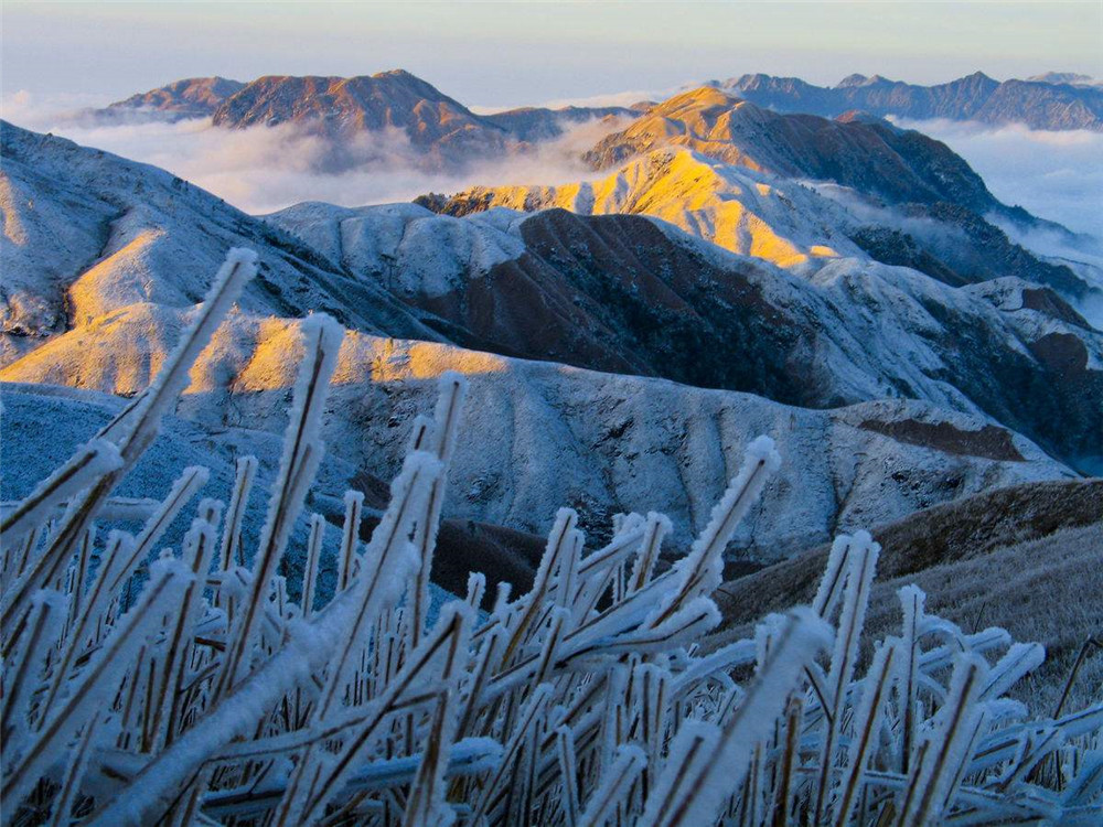 而观看武功山雪景的绝佳之地,莫过于十万亩高山草甸,雪花散落在金黄的