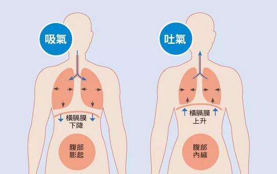 点燃一根蜡烛,然后用闻花香的方式深吸一口气,目的是将气吸在丹田位置