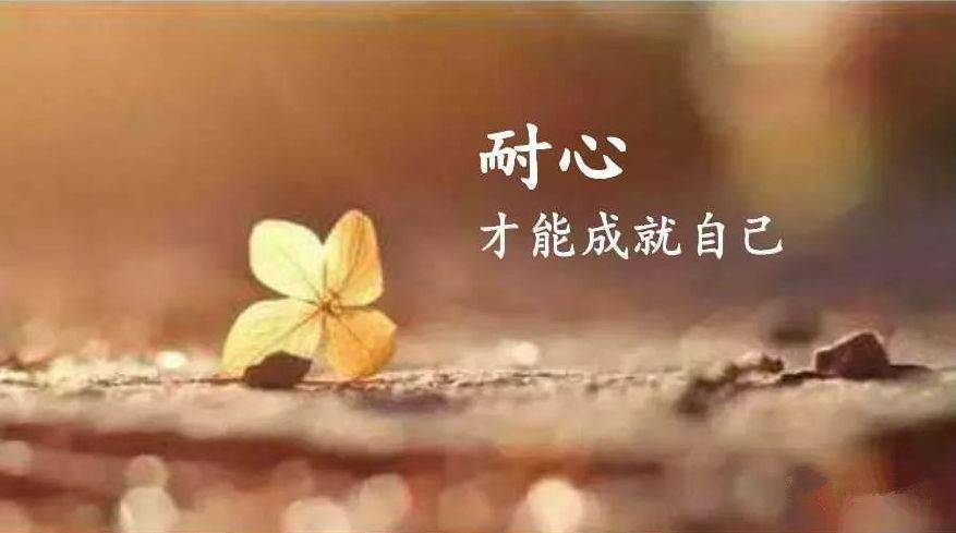 耐心是一种优秀的品质