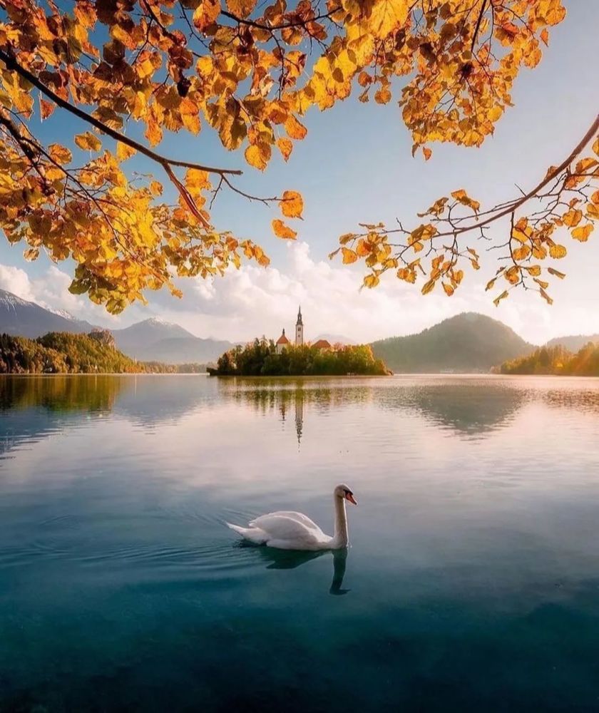 天鹅湖世界风光