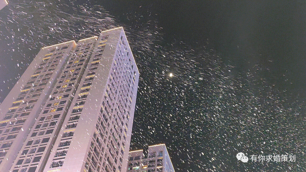 最后一天来看深圳的第一场雪与太空人谈一场微醺的风花雪月