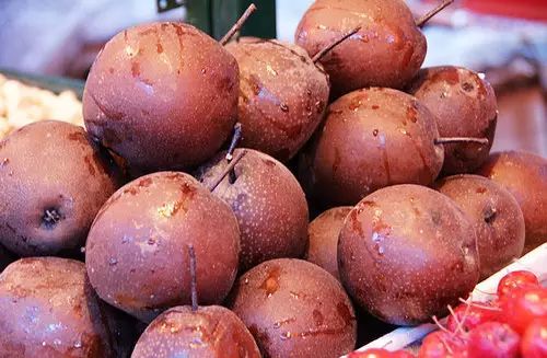 热豆腐抖音_抖音豆腐歌_豆腐东抖音