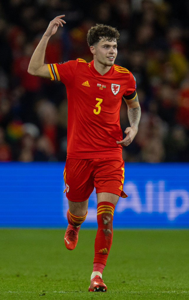 体育足球世预赛威尔士胜白俄罗斯