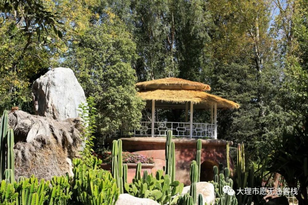 苍山植物园好玩又适合拍照独占125亩苗圃基地就在大理