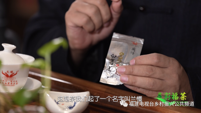 多彩福茶|山谷风韵,白芽奇兰
