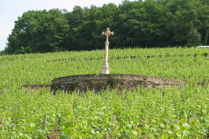 值得久藏的特级勃艮第红葡萄酒勃艮第著名的产区和酒庄有哪些