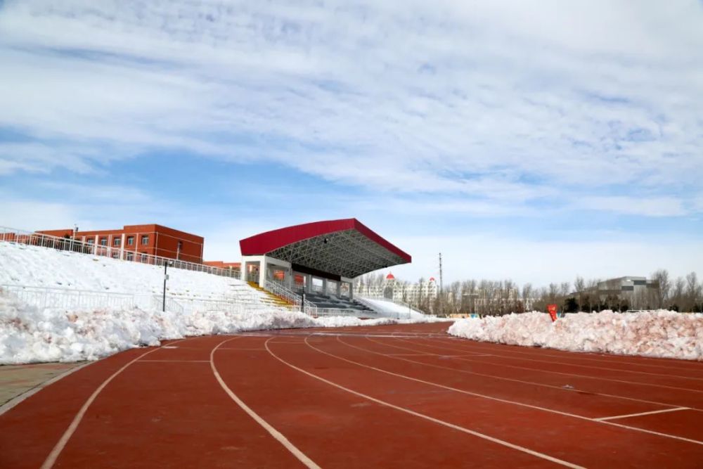 直擊暴雪通遼新城第一中學師生在行動