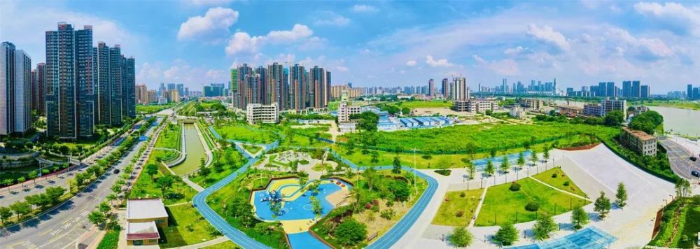 杨金泉/摄佛山青年公园.