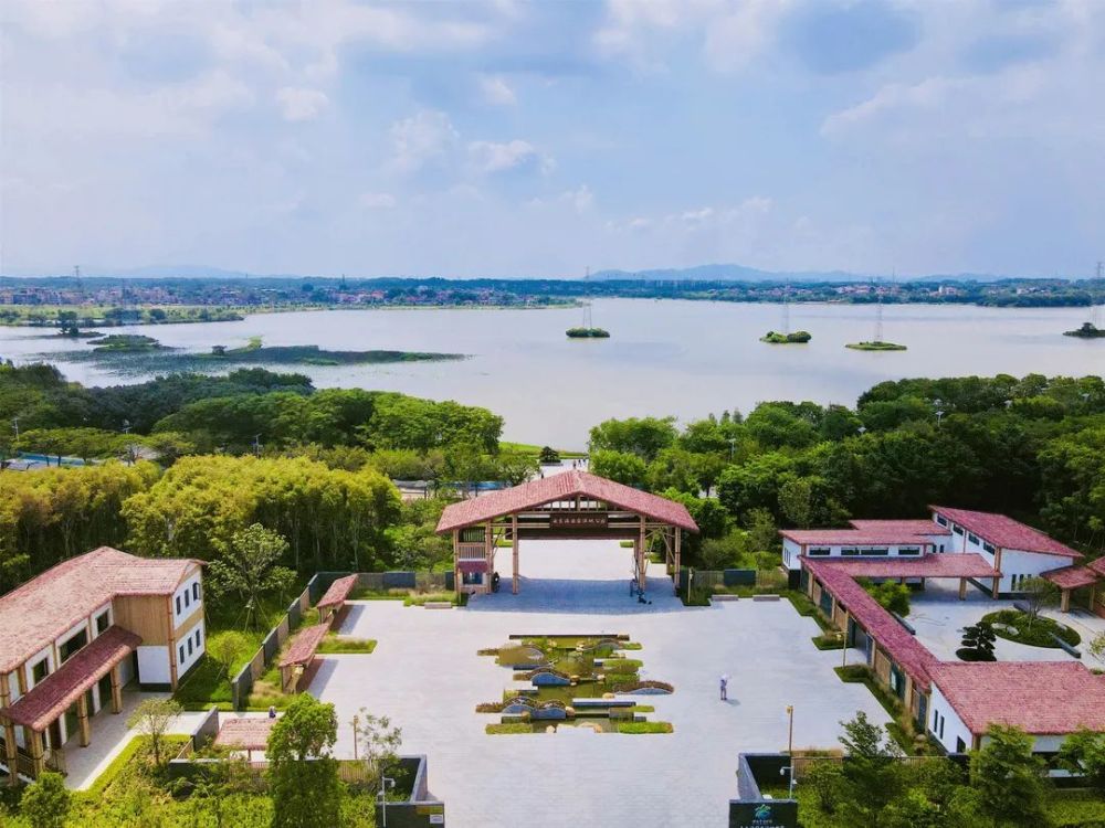 佛山"镜"是这么美!